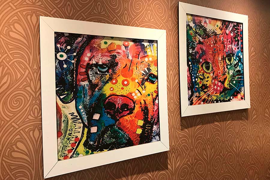Quadros Especiais